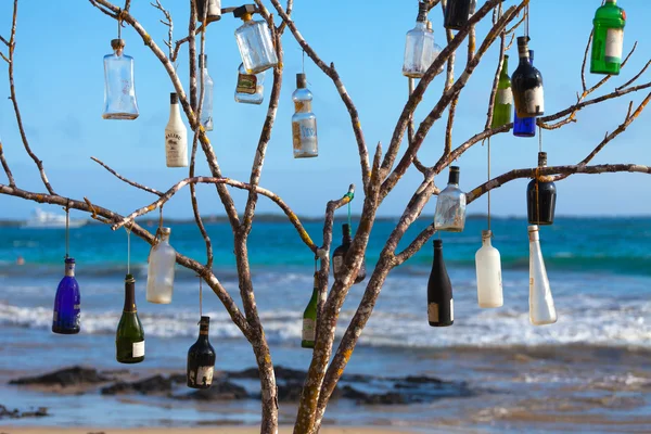 Un árbol especialmente decorado en el bich —  Fotos de Stock