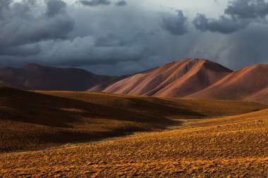 Altiplano Yaylası