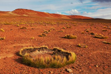 Altiplano Yaylası