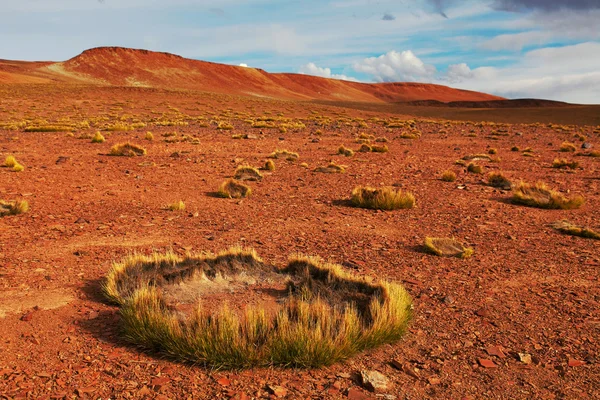 Meseta del Altiplano — Foto de Stock