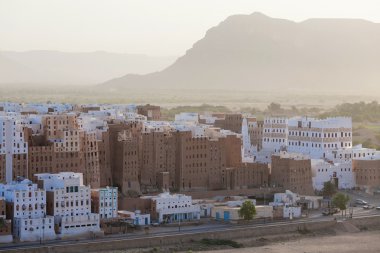 Şibam Cityscape