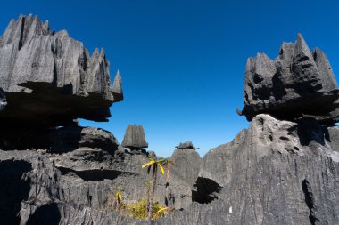 Tsingy de Bemaraha