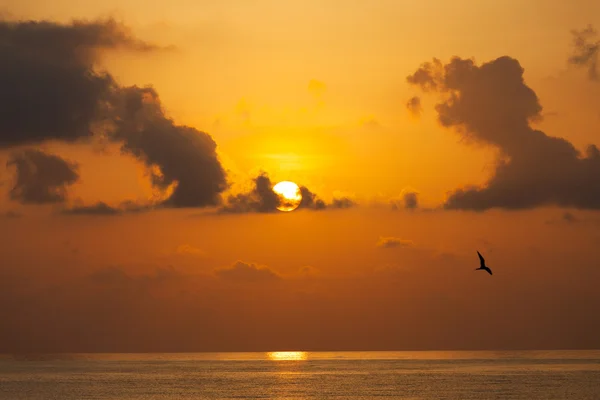 Coucher de soleil sur l'océan Indien — Photo