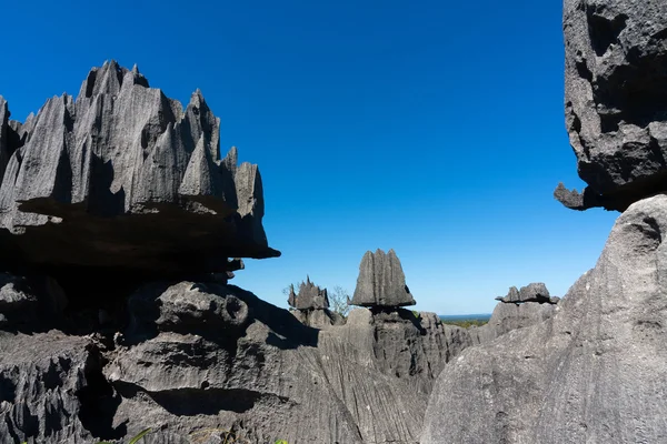 Tsingy de Bemaraha — Stockfoto