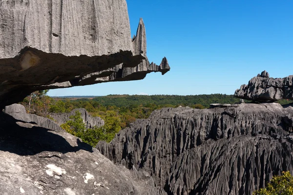 Tsingy de bemaraha — Stock fotografie