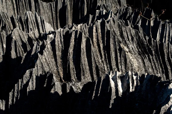 Tsingy de bemaraha — Stock Photo, Image