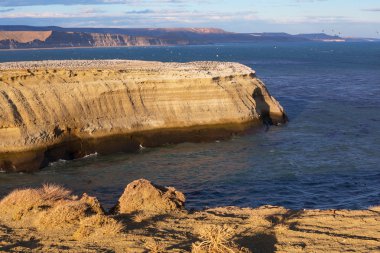 milli park monte lyon