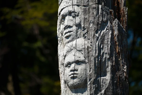 Una cara esculpida de corteza de árbol — Foto de Stock