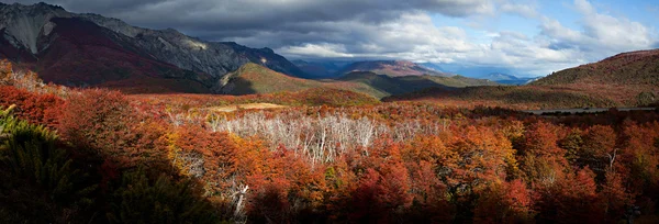 Automne dans les montagnes — Photo