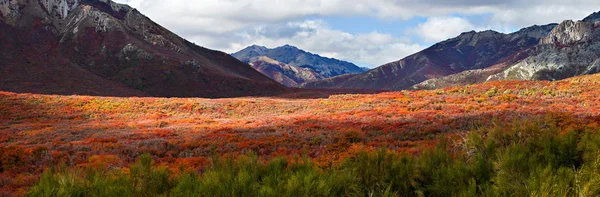 Podzim v Patagonii — Stock fotografie