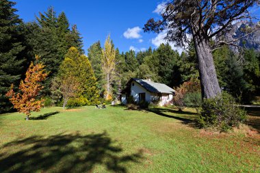 Sonbahar ormanında bir ev