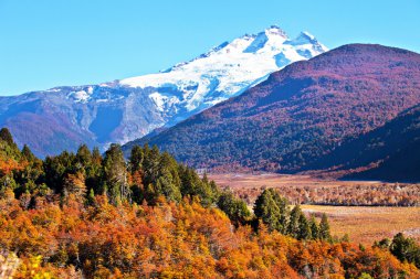 Patagonya'sonbahar