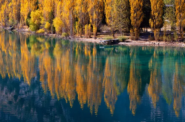 Herbstbäume spiegeln sich im Wasser — Stockfoto