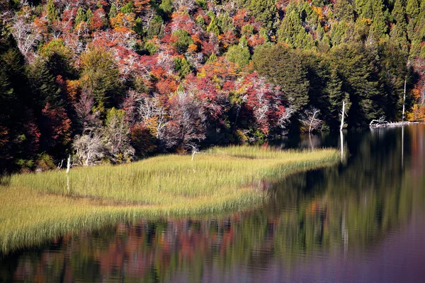 Autumn Landscape on the lake — Stock Photo, Image
