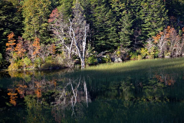 Jesień krajobraz nad jeziorem — Zdjęcie stockowe