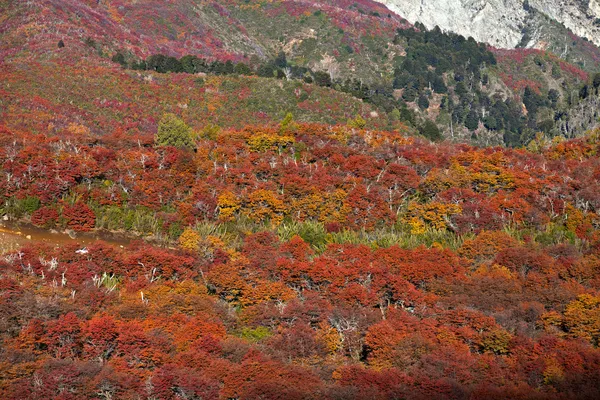 Herfst landschap in de bergen — Stockfoto