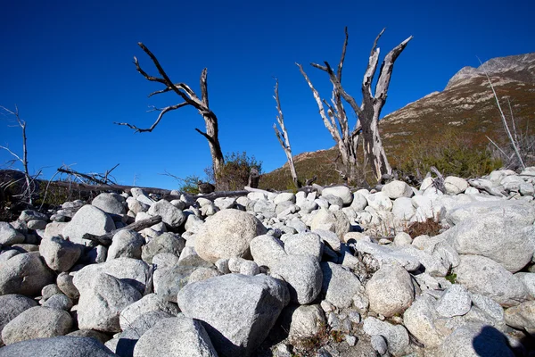 Bergslandskap — Stockfoto