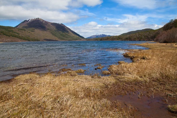 Autunno in Patagonia — Foto Stock