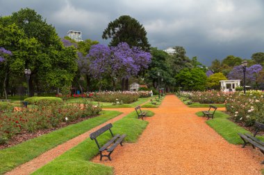 Buenos Aires'te bahar