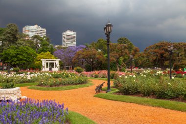 Buenos Aires'te bahar