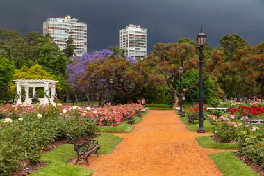 Buenos Aires'te bahar