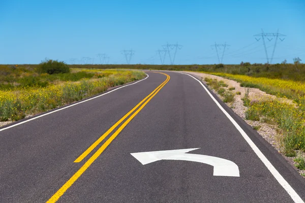 Asphalt road — Stock Photo, Image