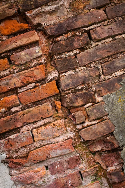 Brick wall — Stock Photo, Image