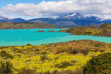 milli park torres del paine