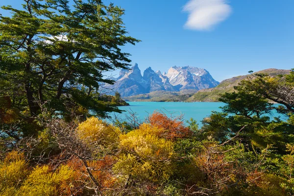 El Parque Nacional Torres del Paine — Foto de Stock