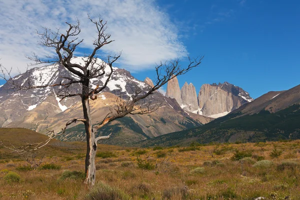 Национальный парк Торрес-дель-Пайн — стоковое фото