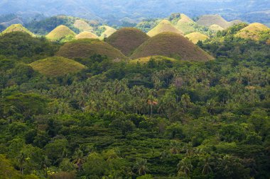 çikolata hills, bohol Adası