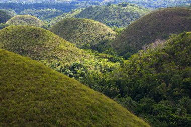 çikolata hills, bohol Adası