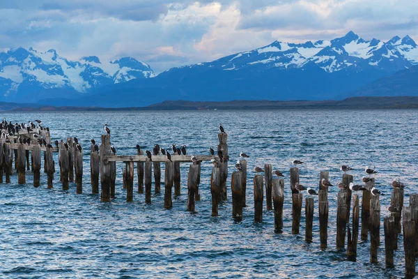 Berg landskap, patagonia, chile — Stockfoto