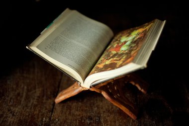 Resepsiyon tidy resimli kitap