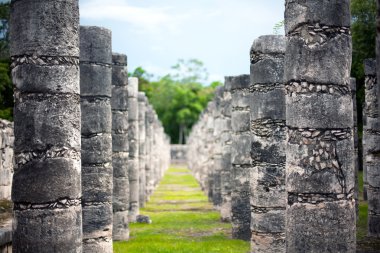 Meksika 'da Maya Piramidi