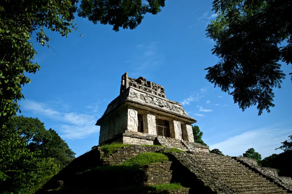 玛雅金字塔，奇琴伊察的全景 — 图库照片