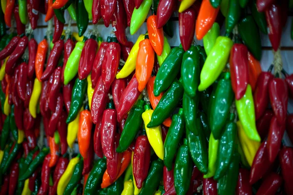 Grön, röd och gul paprika — Stockfoto