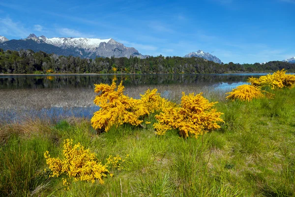 Våren i Patagonien — Stockfoto