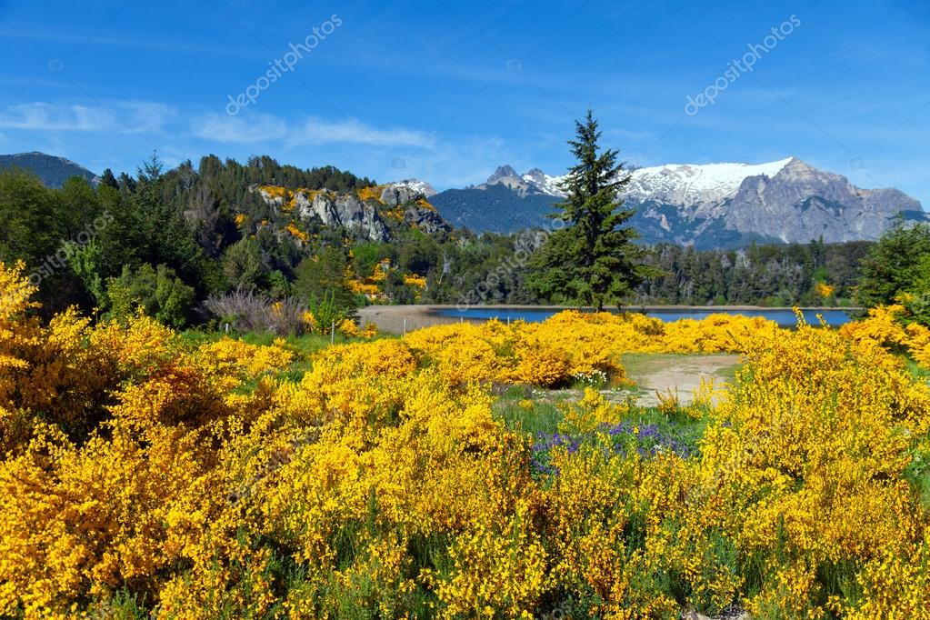 Spring in Patagonia ⬇ Stock Photo, Image by © sunsinger 17849229