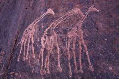 sahara Çölü'nde petroglifler