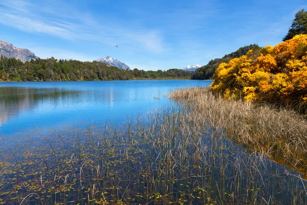 Lente in Patagonië — Stockfoto