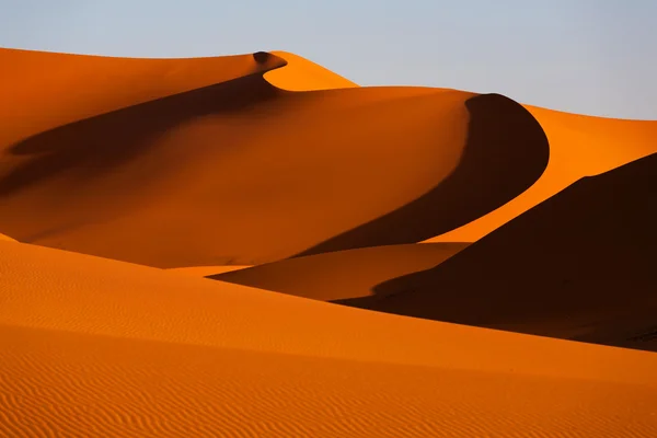 Dunes de sable dans le désert — Photo