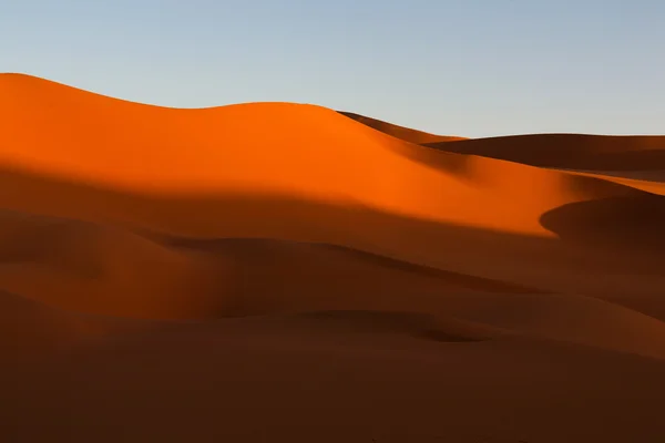 Modèles de sable — Photo