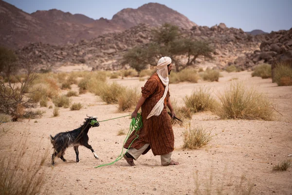 Man with goat — Stock Photo, Image