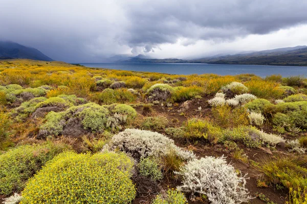 Nationalpark lanin, see huechulafquen — Stockfoto