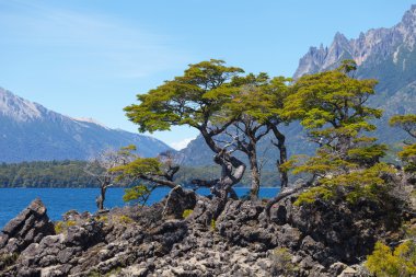 National park Lanin, lake Huechulafquen clipart