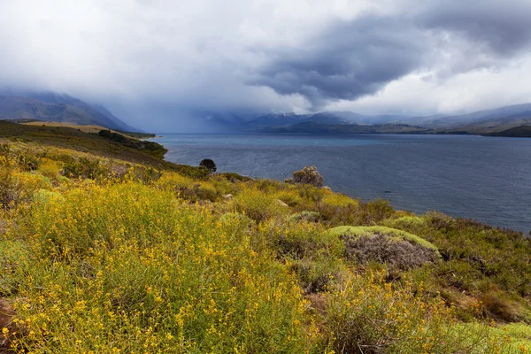 Lanin 国立公園、湖 huechulafquen — ストック写真