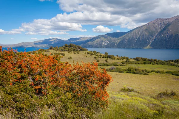 Λίμνη huechulafquen, το εθνικό πάρκο lanin — Φωτογραφία Αρχείου