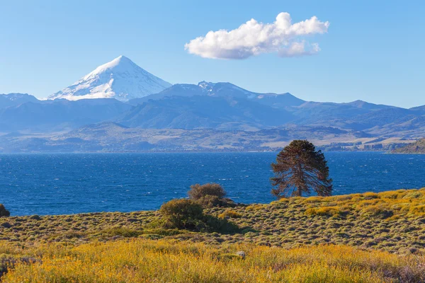 Lanin nemzeti park, lake Huechulafquen — Stock Fotó