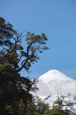 milli park lanin, göl huechulafquen